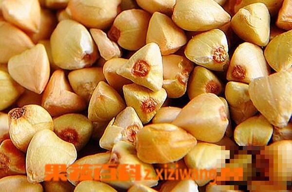 荞麦米的功效与作用