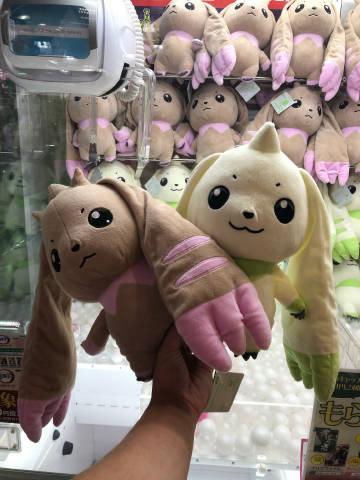 也没有呀的微博